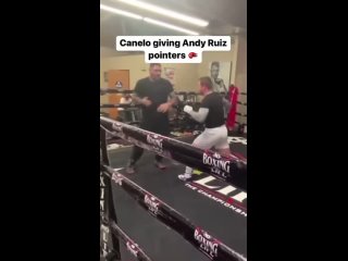 canelo alvarez teaches andy ruiz his tricks